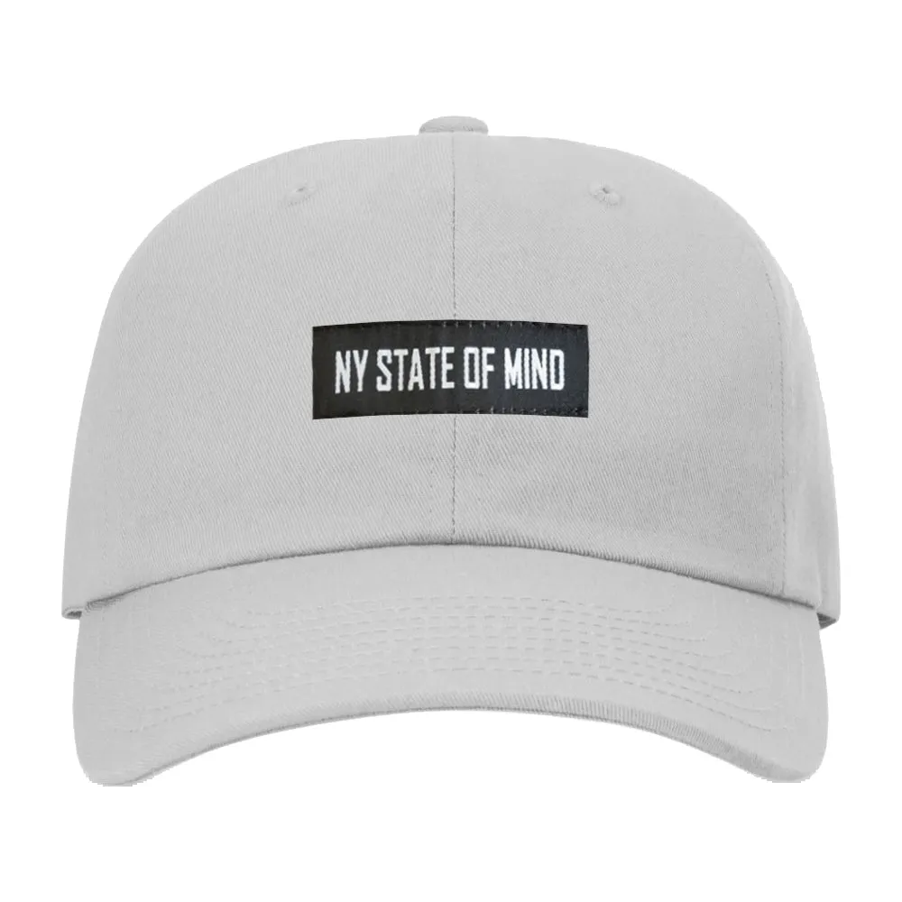 Kids Banner Logo Dad Hat